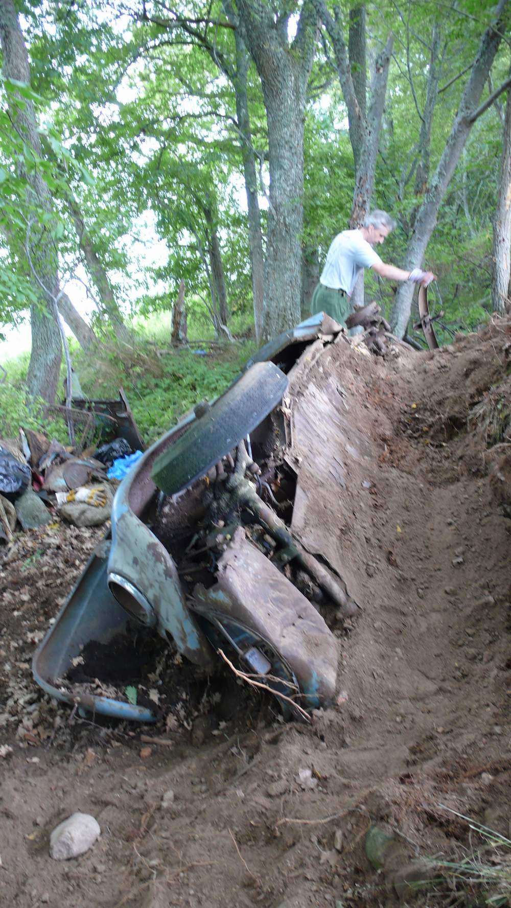 P1010641crop.JPG, 275.89 kb, 1000 x 1777