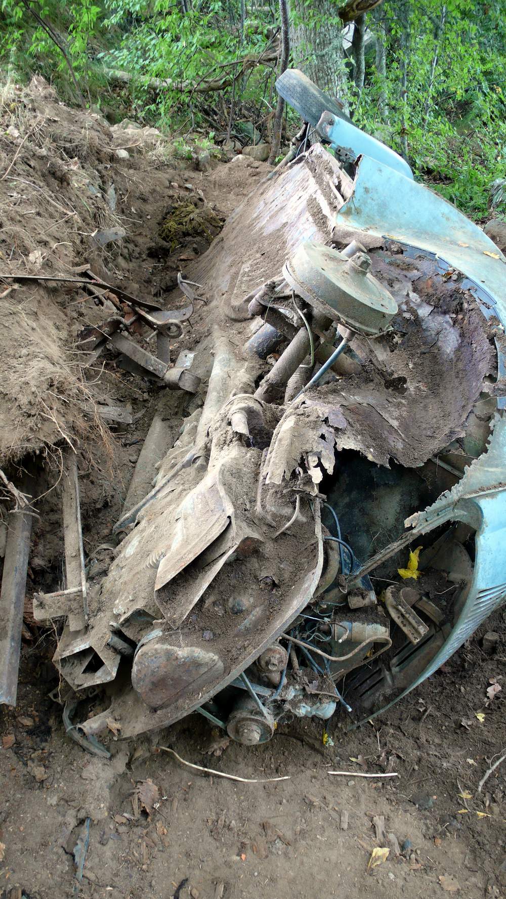 P1010644crop.JPG, 370.54 kb, 1000 x 1777