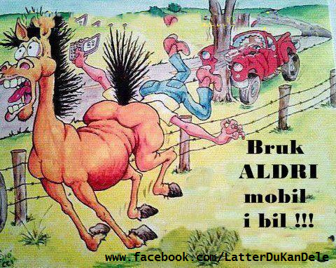 Horses ass.png, 450.5 kb, 480 x 383