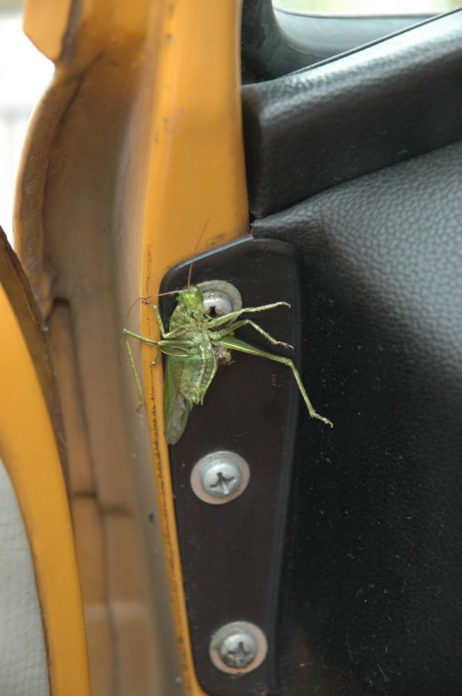 Farligt.1.jpg, 132.34 kb, 664 x 1000