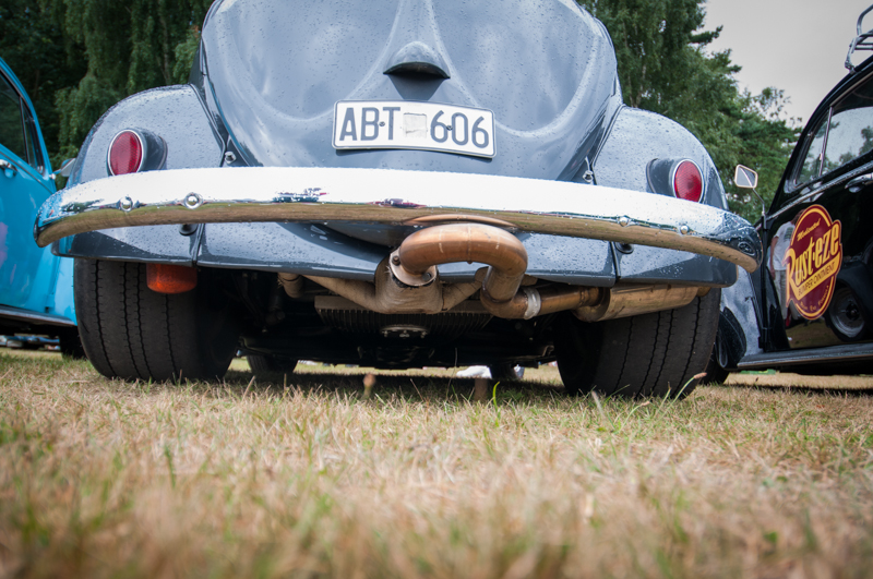 _DSC6854.jpg, 444.65 kb, 800 x 531