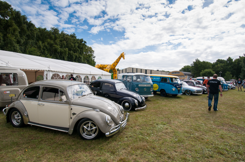 _DSC6856.jpg, 484.1 kb, 800 x 531