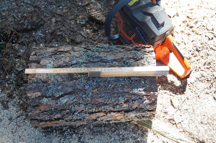 1.jpg, 278.53 kb, 738 x 490