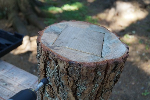 4b.jpg, 110.83 kb, 492 x 327