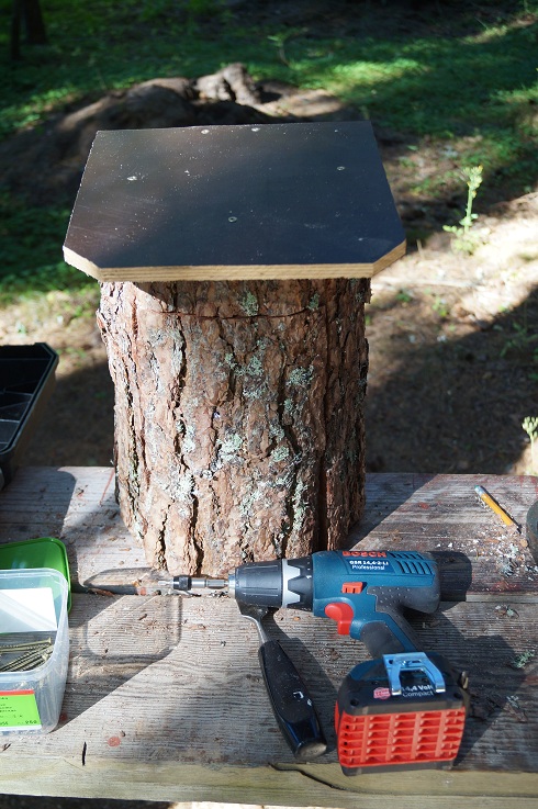 5.jpg, 223.48 kb, 490 x 737