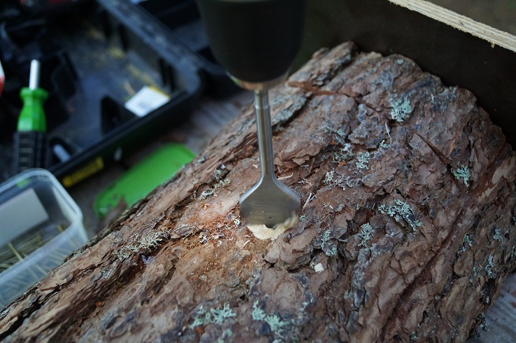 6a.jpg, 199.85 kb, 737 x 490