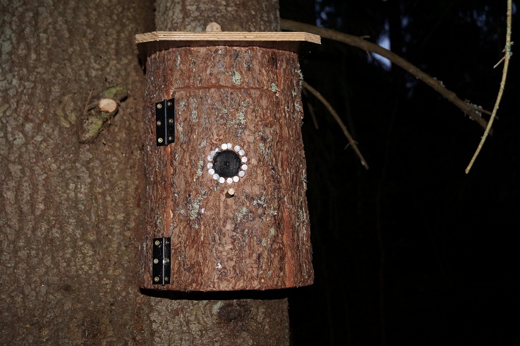 8.jpg, 176.07 kb, 737 x 490