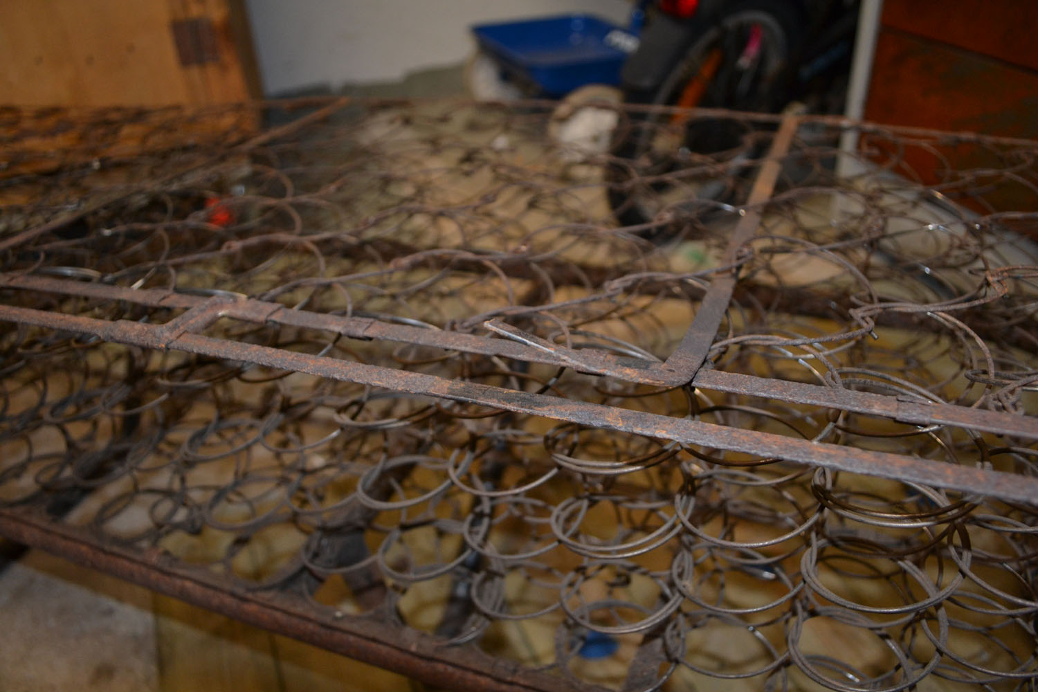 DSC_0339.JPG, 214.54 kb, 1500 x 1000