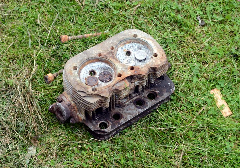 DSC_0335crop.JPG, 184.22 kb, 1000 x 698