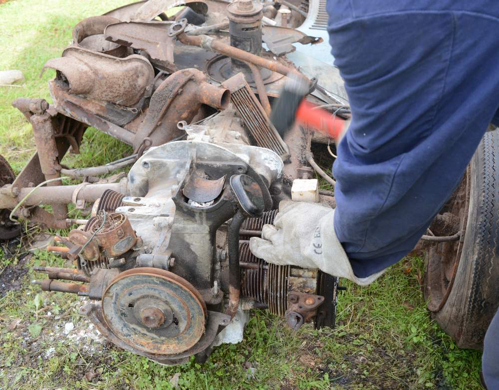 DSC_0373crop.JPG, 131.48 kb, 1000 x 783