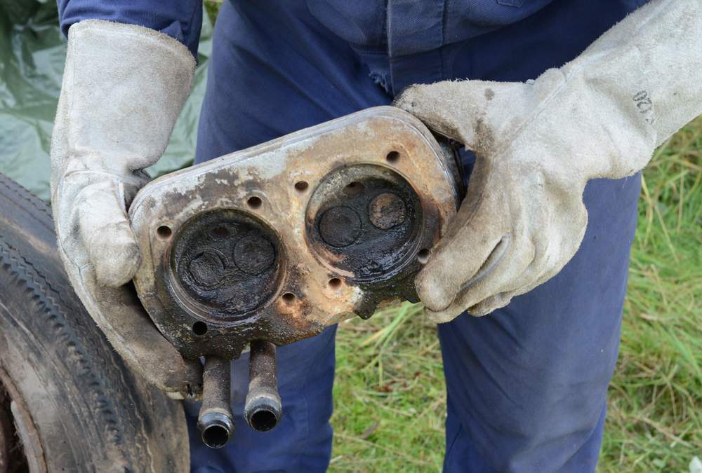 DSC_0388crop.JPG, 84.99 kb, 1000 x 675