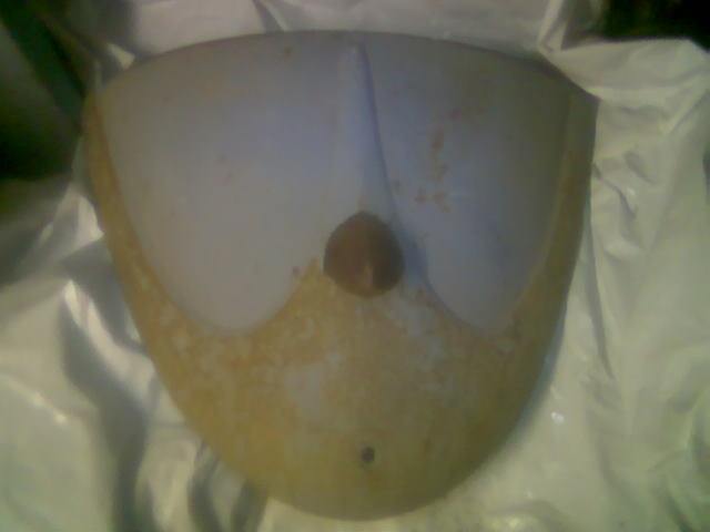 Motorlucka bubbla.JPG, 82.44 kb, 640 x 480