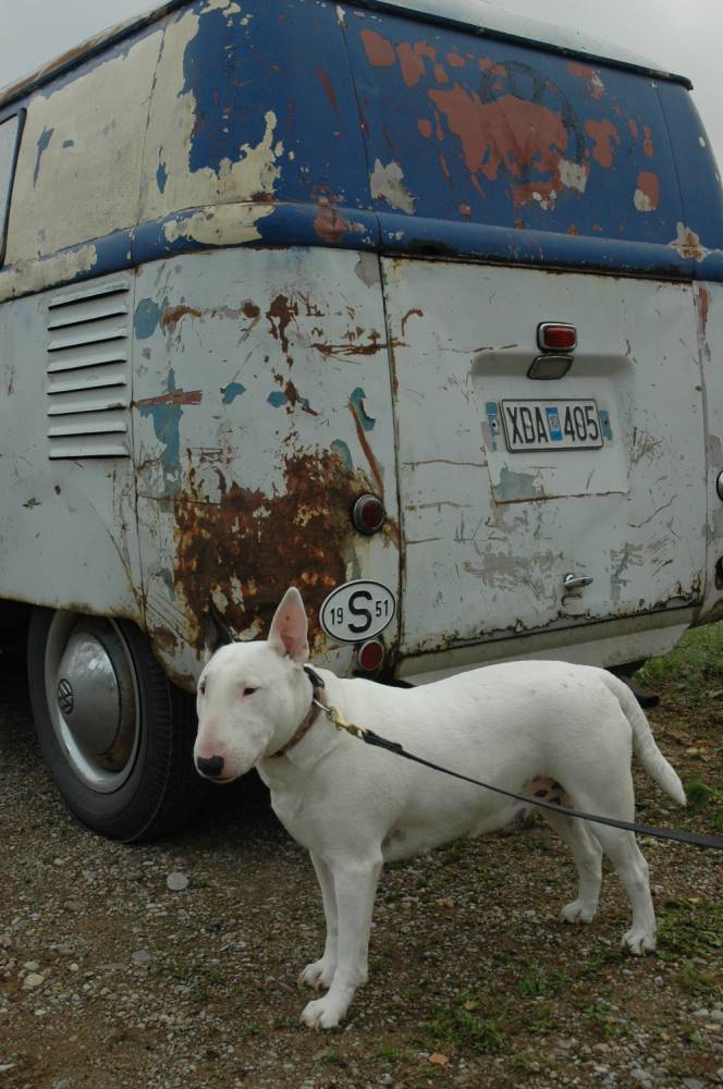 Piafavorit.jpg, 126.94 kb, 664 x 1000