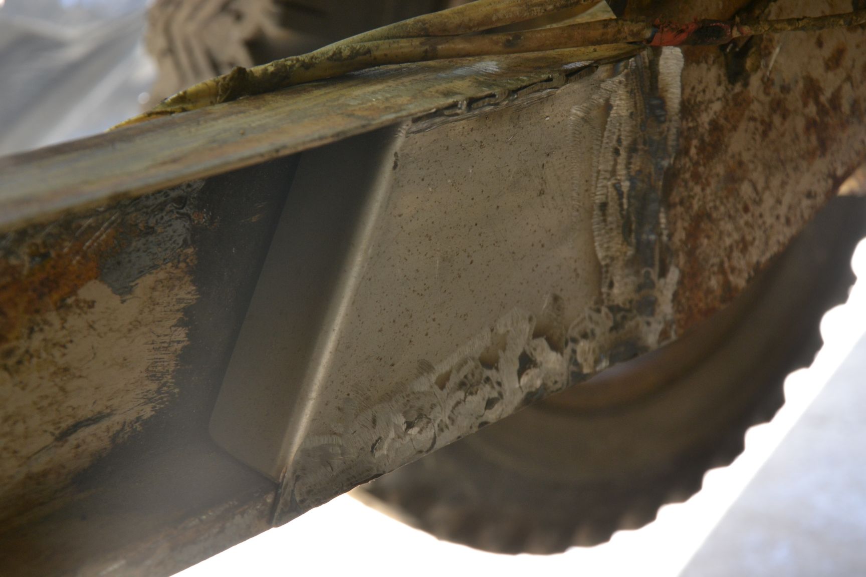 resized_DSC_1428.jpg, 159.77 kb, 1728 x 1152