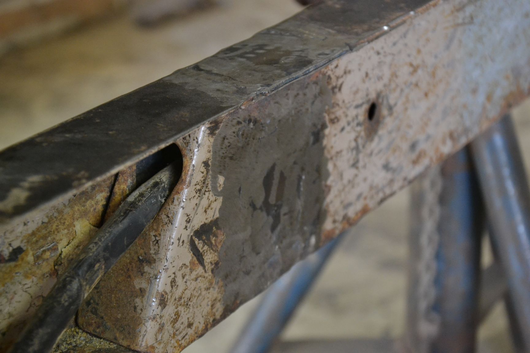 resized_DSC_1424.jpg, 181.97 kb, 1728 x 1152