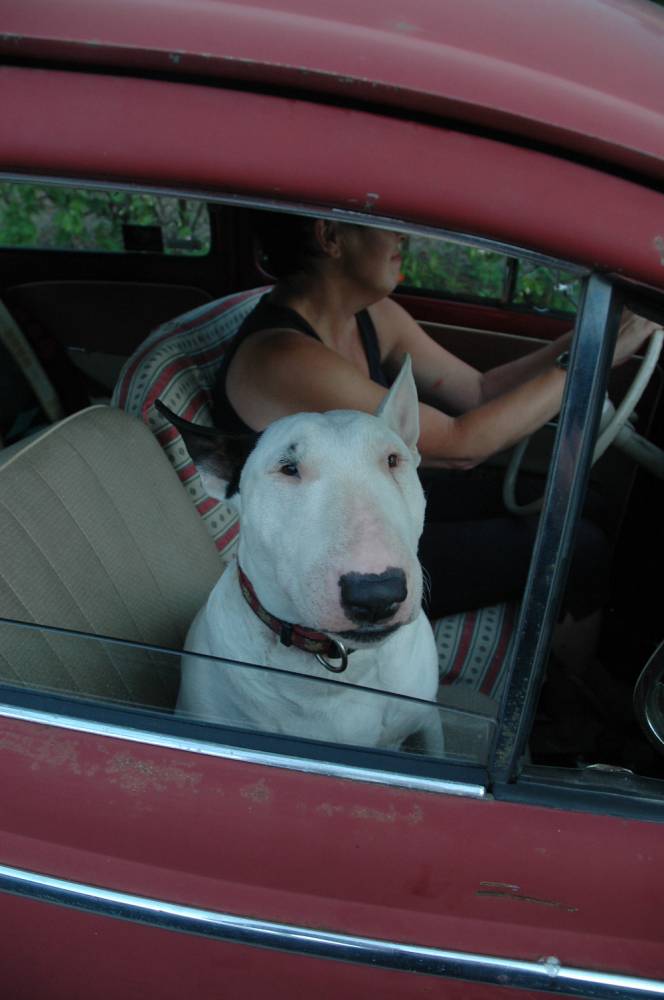 Pia i oval.jpg, 86.29 kb, 664 x 1000