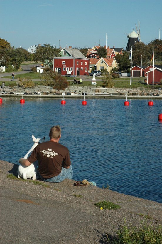 552_DSC_0072.jpg, 113.51 kb, 552 x 830