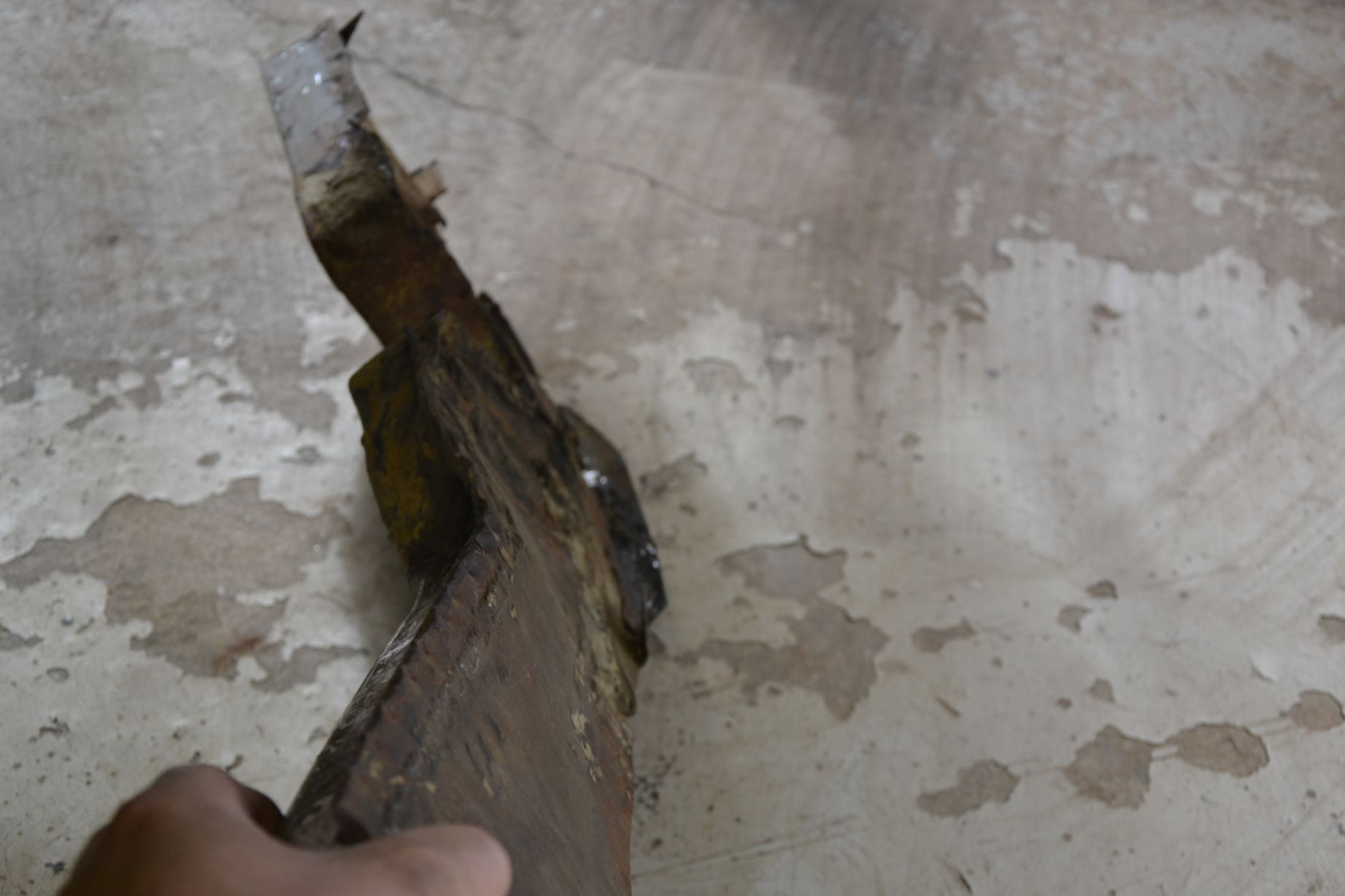 resized_DSC_1653.jpg, 135.51 kb, 1843 x 1228