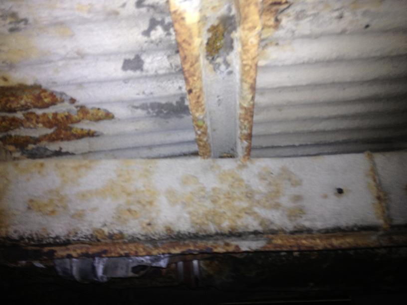 IMG_2468.JPG, 54.84 kb, 816 x 612