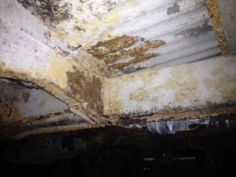 IMG_2469.JPG, 61.04 kb, 816 x 612