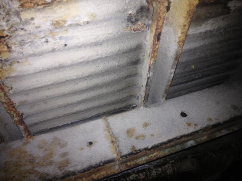 IMG_2470.JPG, 63.11 kb, 816 x 612