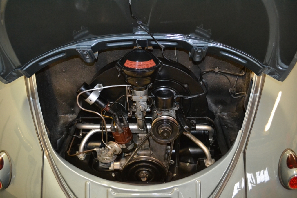 DSC_0173.JPG, 432.58 kb, 1024 x 683