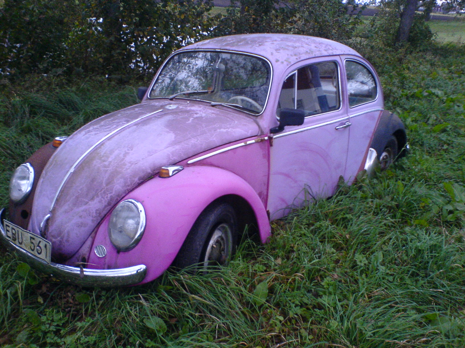 004.JPG, 388.54 kb, 1632 x 1224