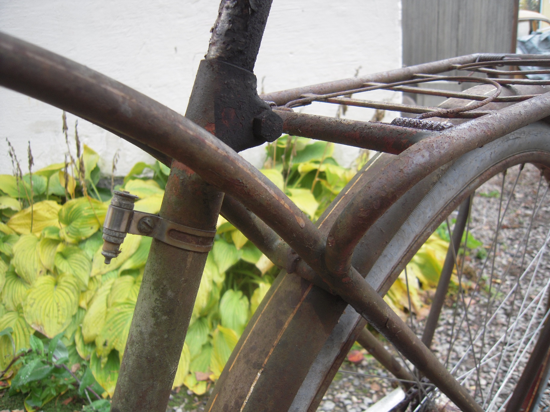 DSCN3448.JPG, 719.97 kb, 1824 x 1368