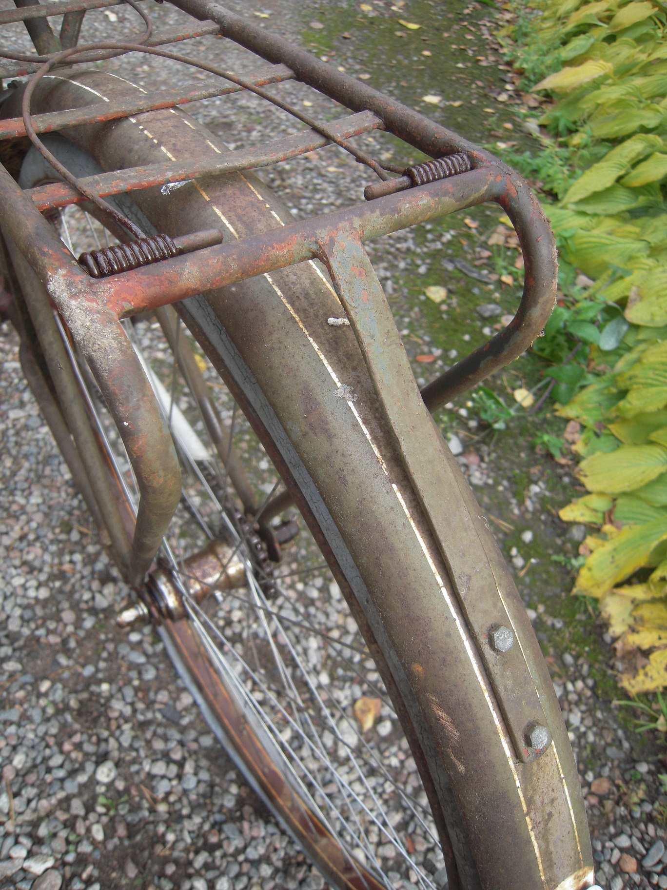 DSCN3462.JPG, 928.57 kb, 1368 x 1824