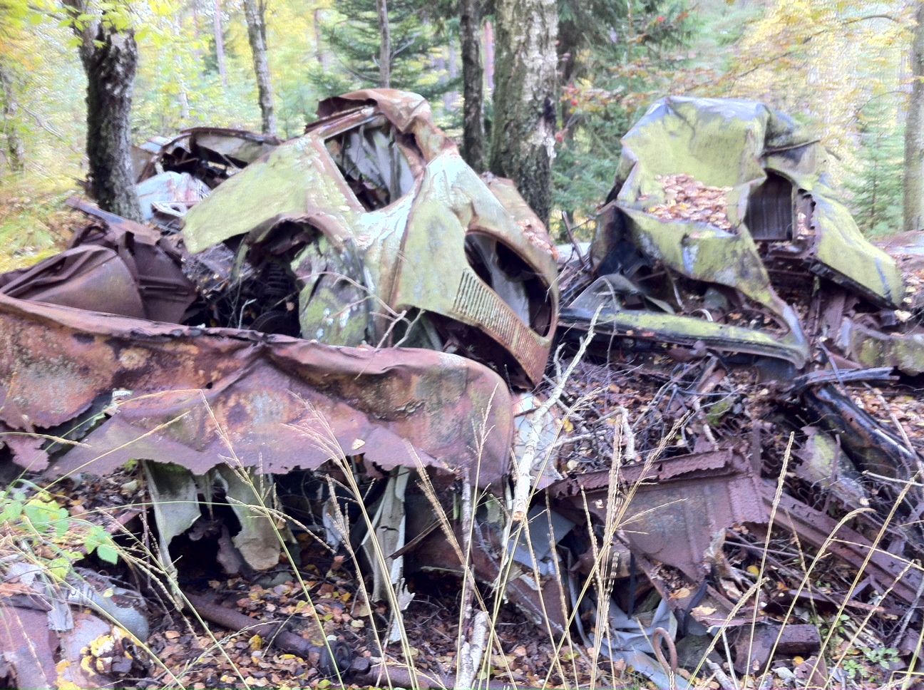 bild.JPG, 759.78 kb, 1296 x 968