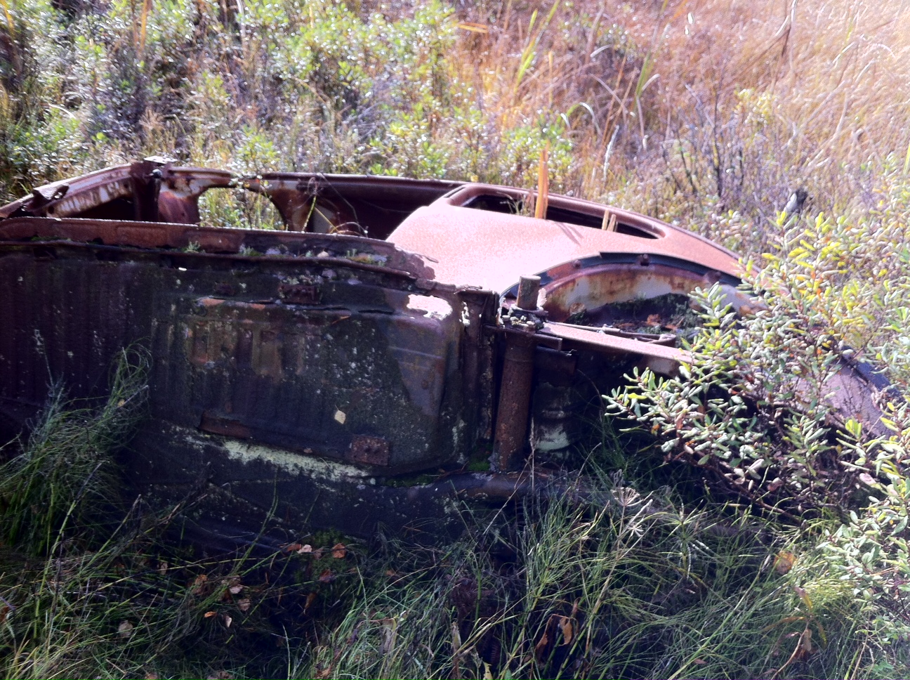 bild 6.JPG, 767.07 kb, 1296 x 968