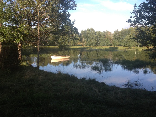 Boxerville_1.jpg, 148.57 kb, 653 x 490