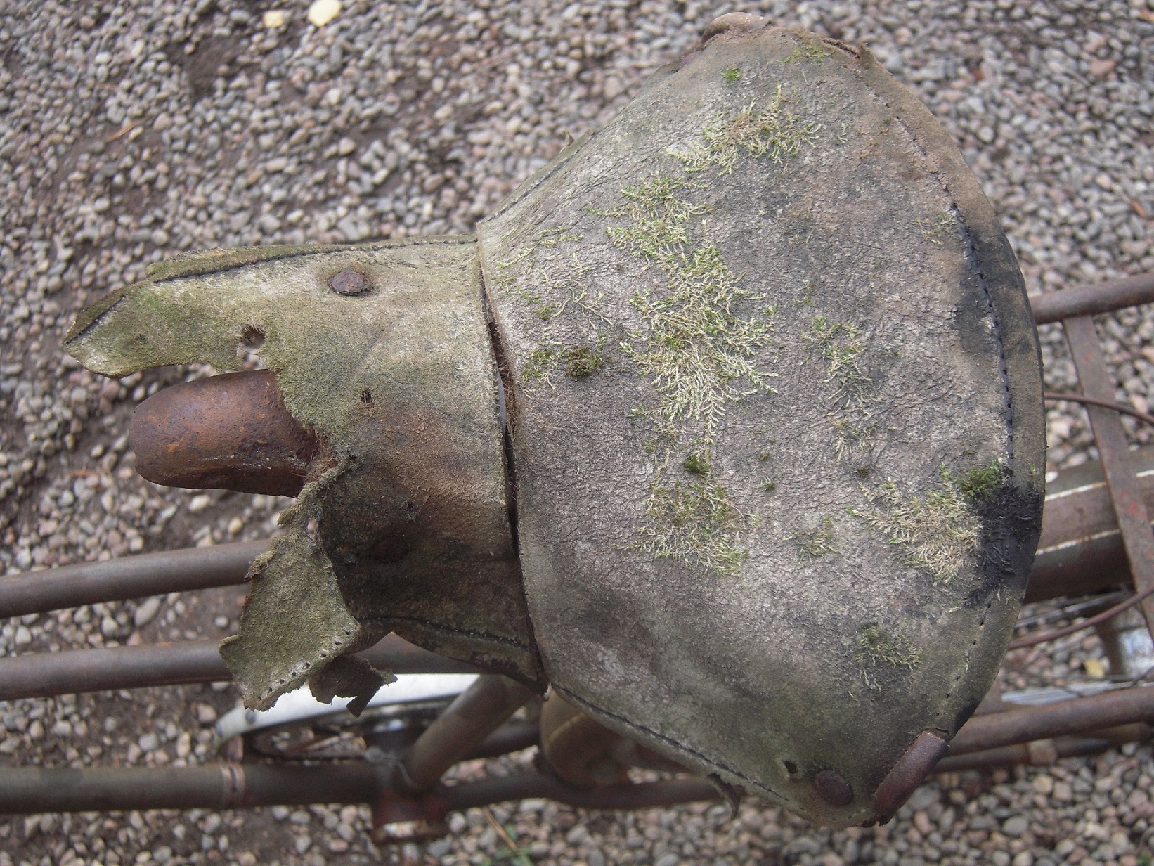 DSCN3483.JPG, 917.89 kb, 1642 x 1232