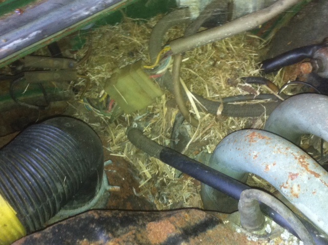 image.jpg, 120.67 kb, 640 x 478