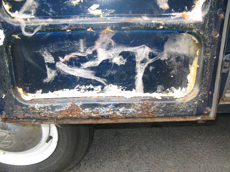 IMG_0276_lr.jpg, 428.45 kb, 800 x 600