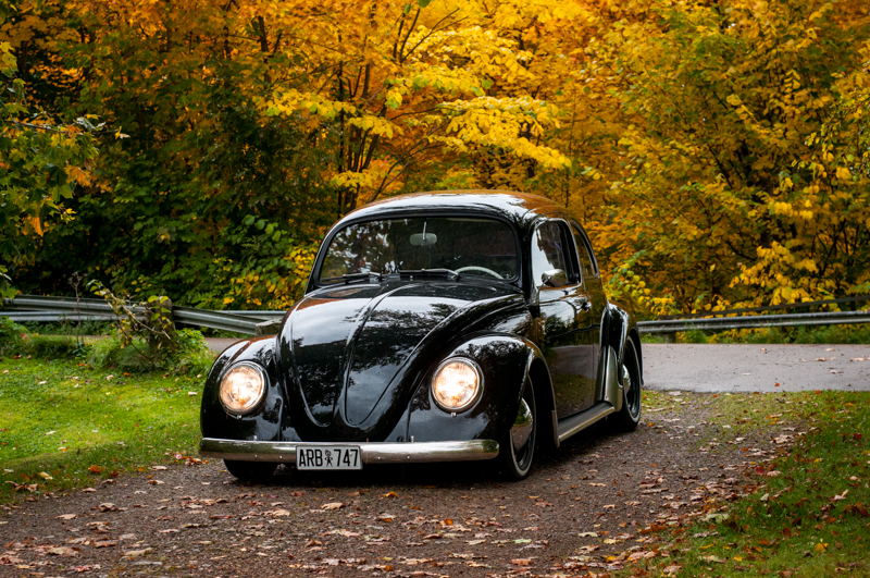 _DSC7284.jpg, 713.46 kb, 800 x 531