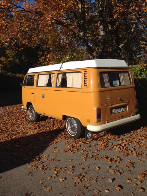 002.JPG, 186.28 kb, 490 x 653