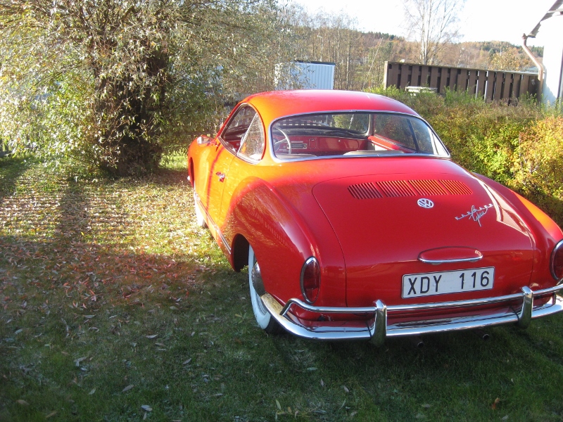 IMG_1135 (800x600).jpg, 416.48 kb, 800 x 600