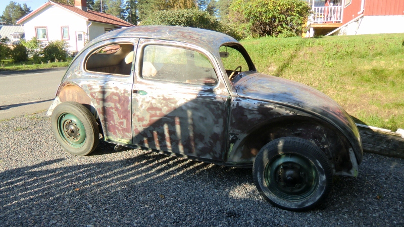 CIMG2141 (800x450).jpg, 337.23 kb, 800 x 450