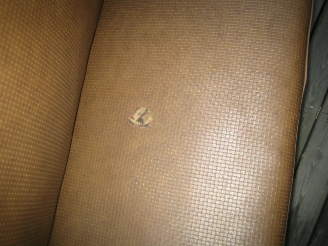 IMG_3992.JPG, 188.16 kb, 640 x 480