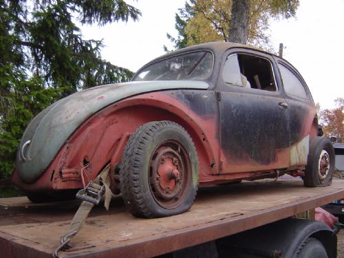 68031_20131021221104.jpg, 42.2 kb, 500 x 375