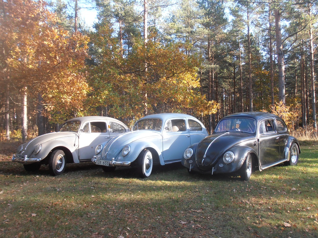 PA120077_1.jpg, 511.01 kb, 1024 x 768