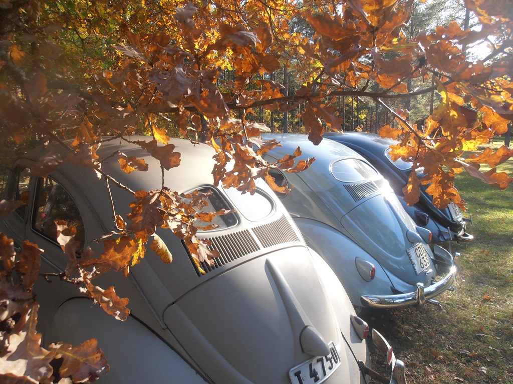 PA120059_1.jpg, 394.37 kb, 1024 x 768