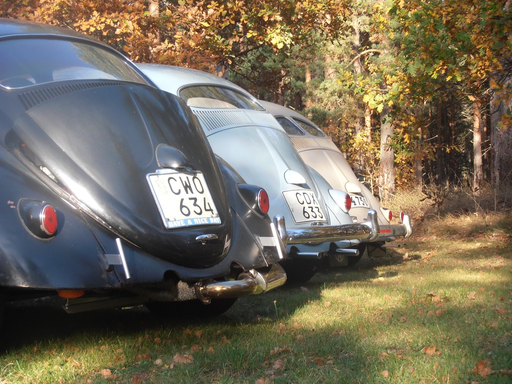 PA120084_1.jpg, 386.21 kb, 1024 x 768