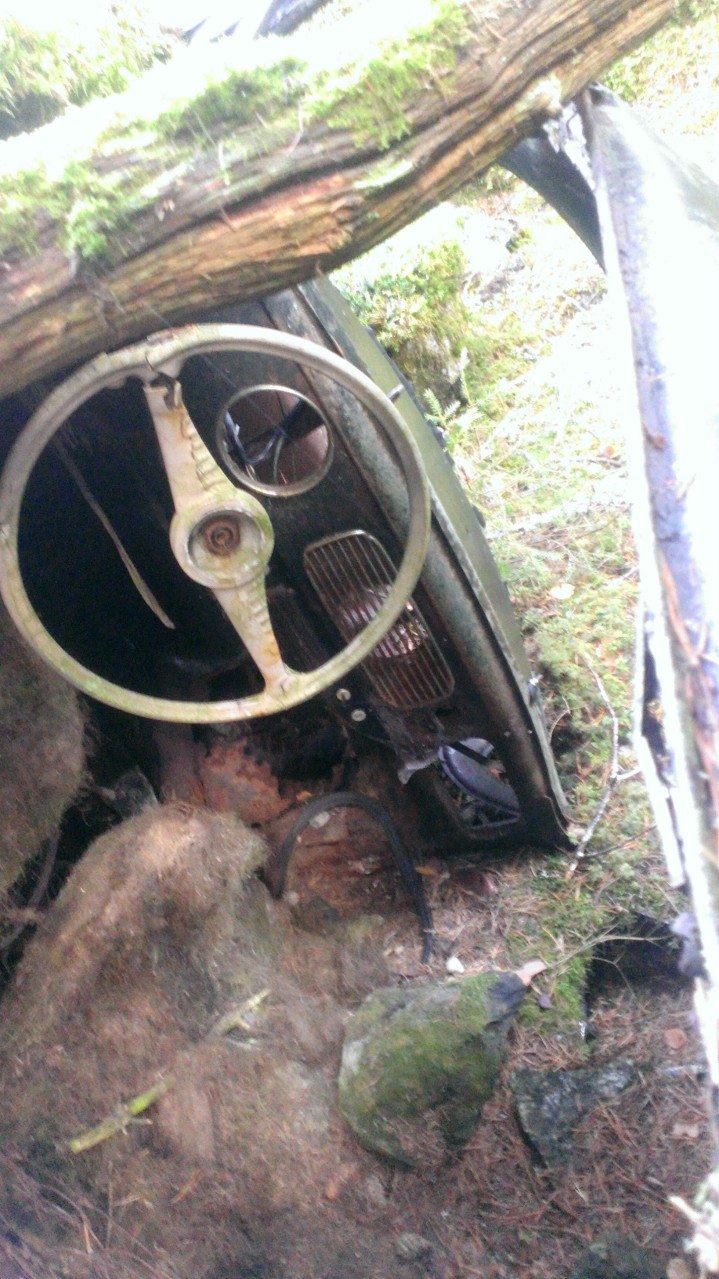 WP_20131027_005.jpg, 275.81 kb, 719 x 1279