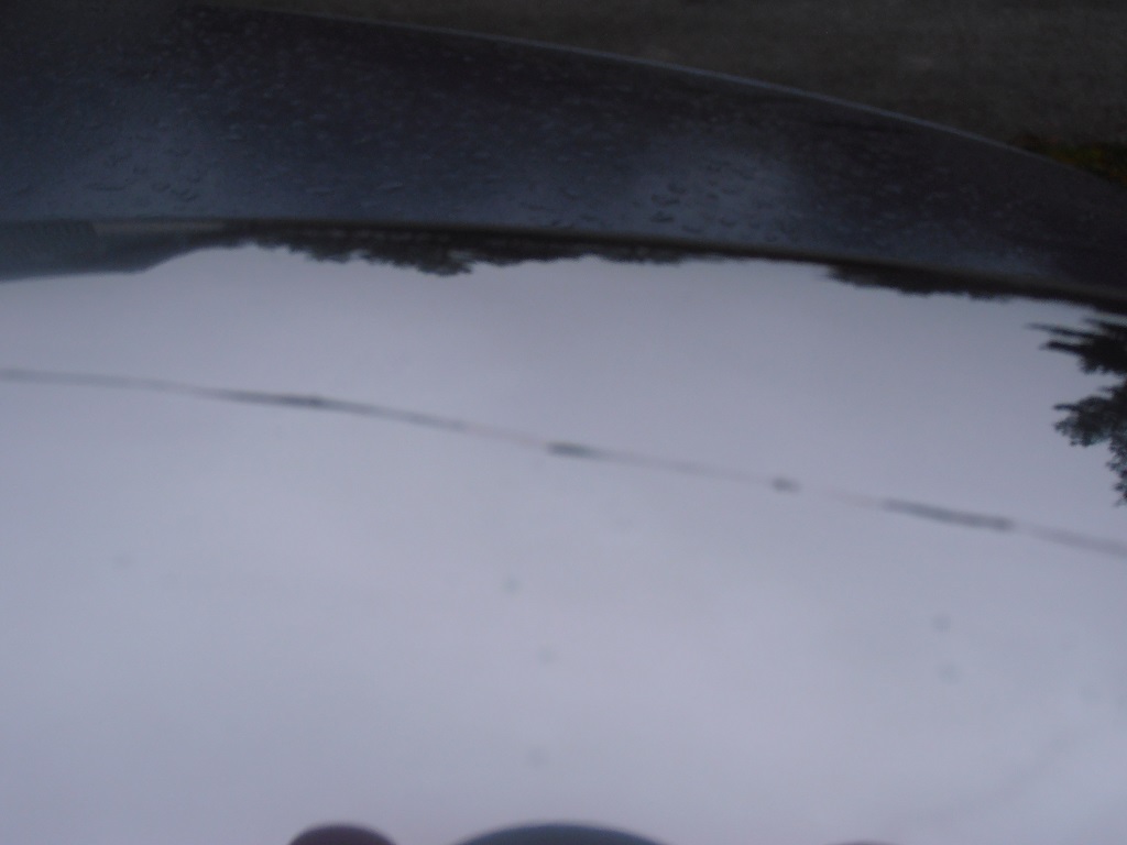 Repa.jpg, 91.29 kb, 1024 x 768