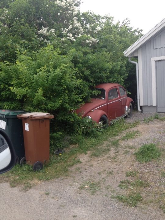 59an.jpg, 86.22 kb, 540 x 720