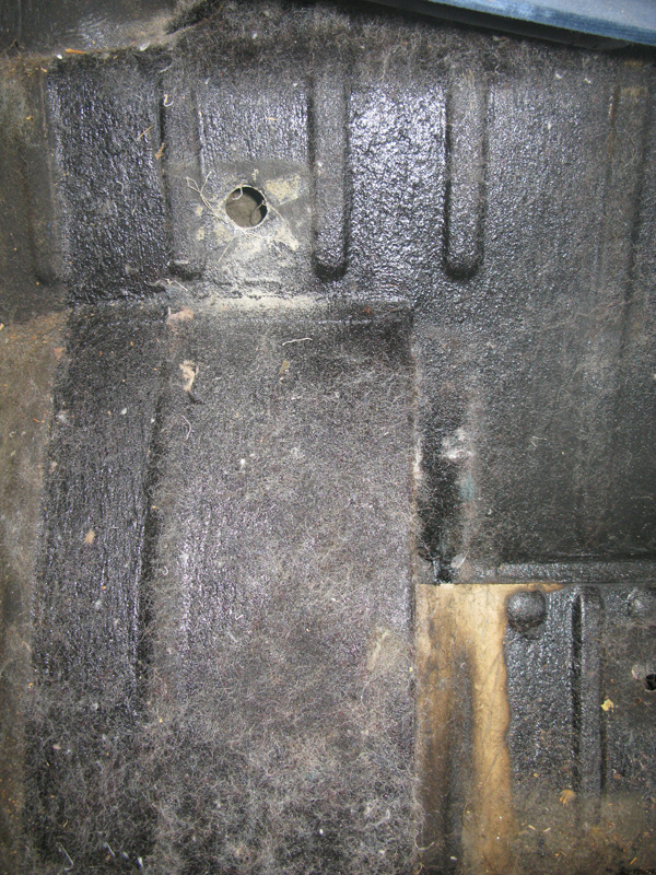 IMG_0326_lr.jpg, 465.87 kb, 600 x 800