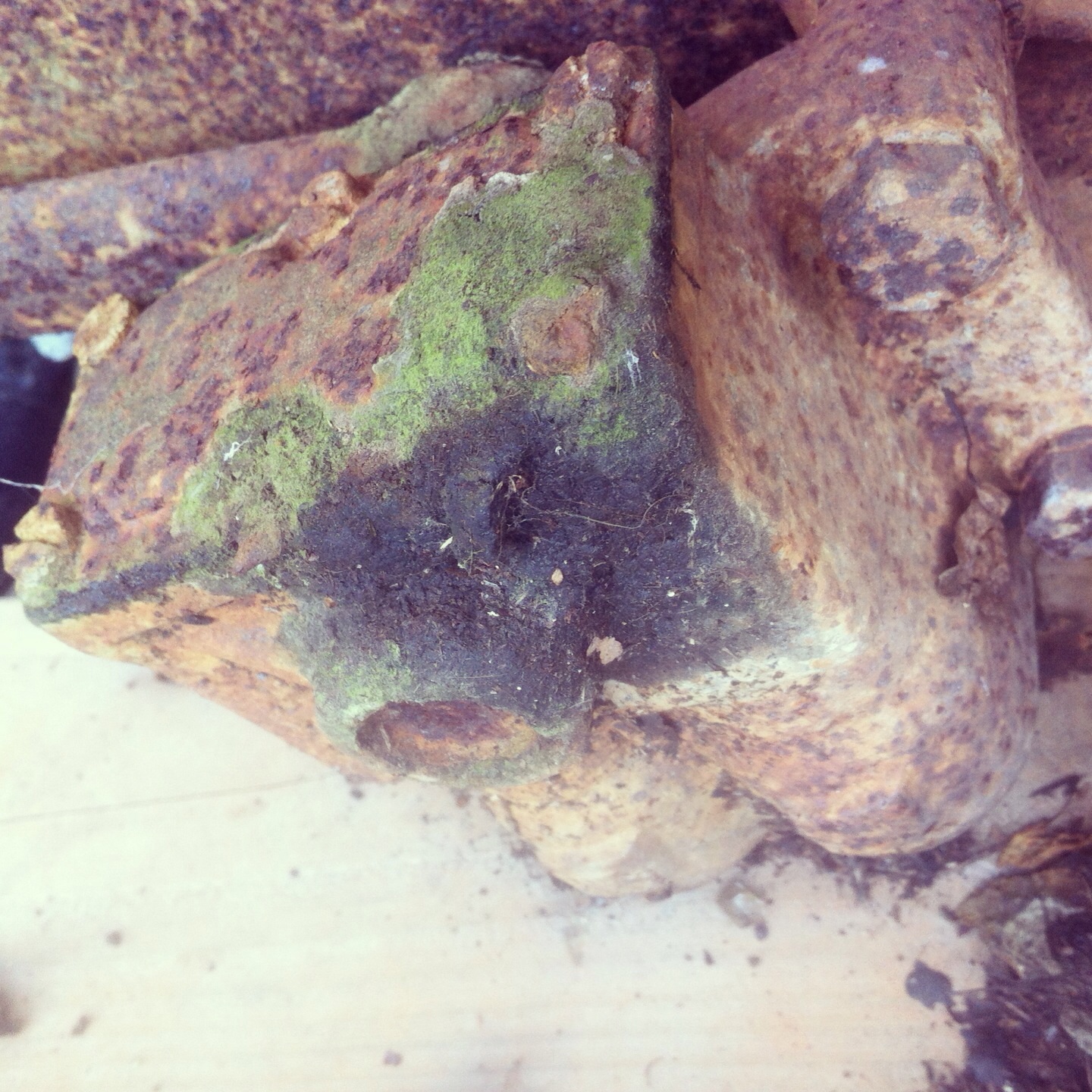 image.jpg, 675.61 kb, 1440 x 1440