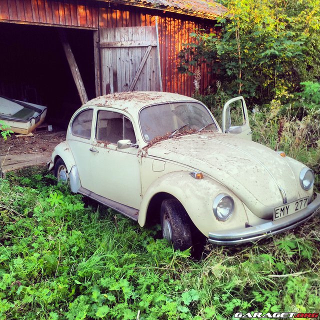 339349-3222335.jpg, 154.54 kb, 640 x 640